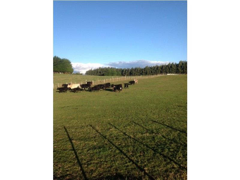 620 East Yolla Road, Yolla TAS 7325