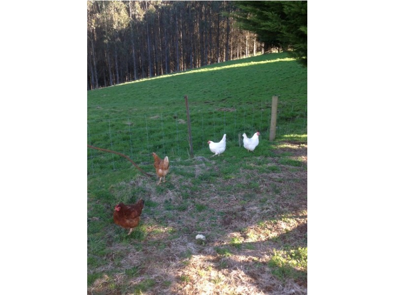 620 East Yolla Road, Yolla TAS 7325
