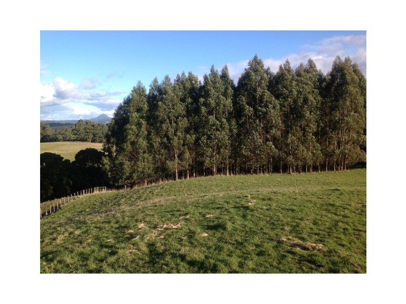 620 East Yolla Road, Yolla TAS 7325