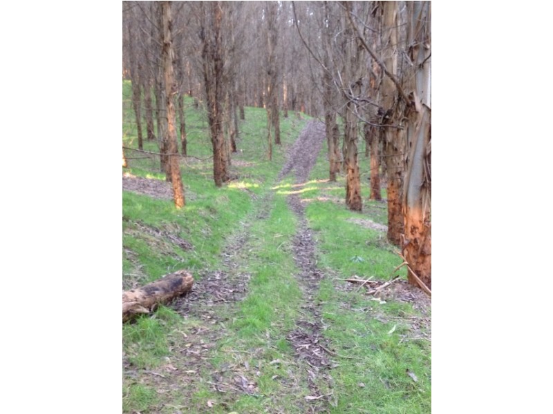 620 East Yolla Road, Yolla TAS 7325