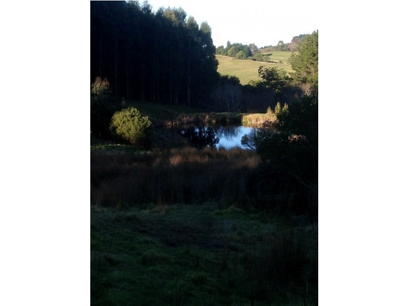 620 East Yolla Road, Yolla TAS 7325