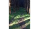 620 East Yolla Road, Yolla TAS 7325