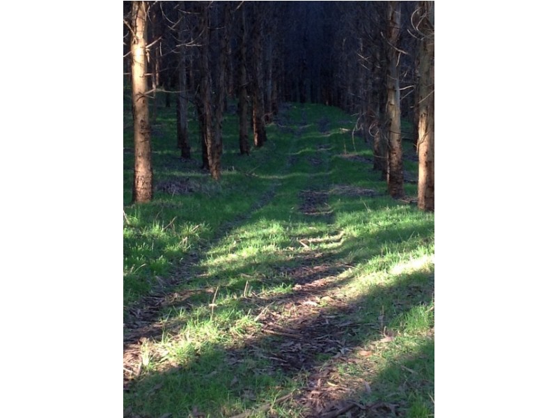 620 East Yolla Road, Yolla TAS 7325