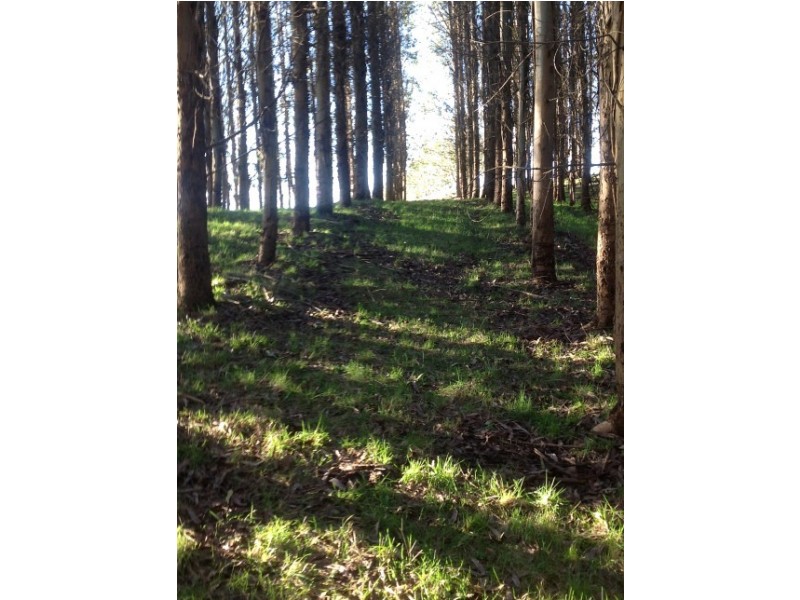 620 East Yolla Road, Yolla TAS 7325