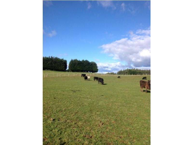 620 East Yolla Road, Yolla TAS 7325