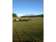 620 East Yolla Road, Yolla TAS 7325