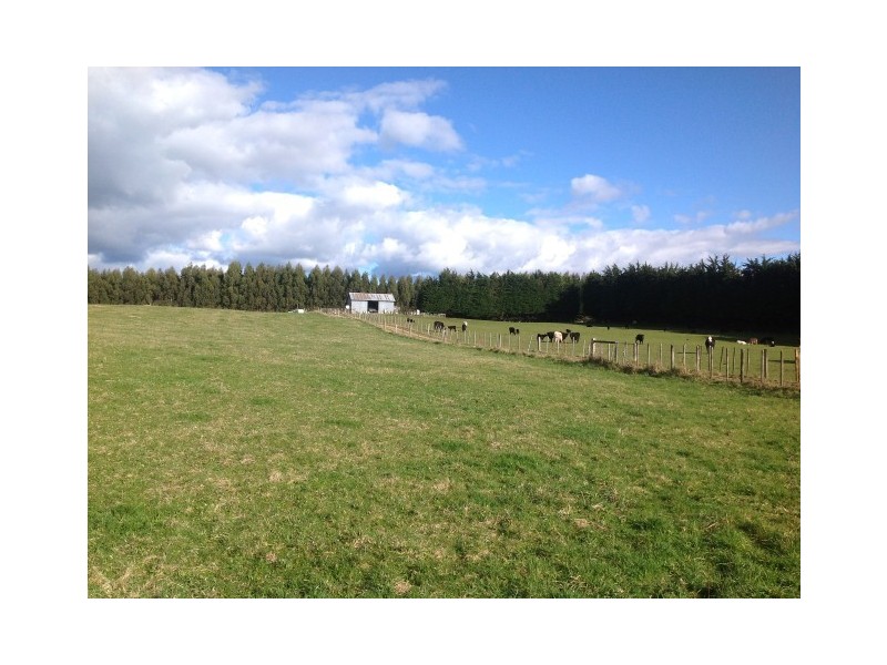 620 East Yolla Road, Yolla TAS 7325