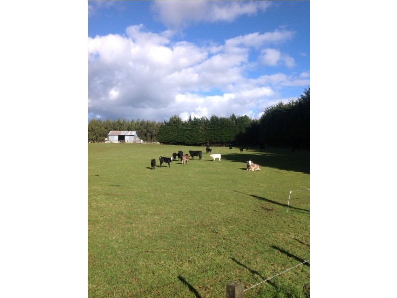 620 East Yolla Road, Yolla TAS 7325