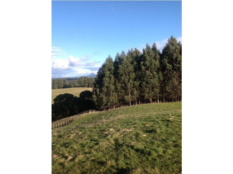 620 East Yolla Road, Yolla TAS 7325
