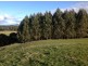 620 East Yolla Road, Yolla TAS 7325
