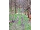 620 East Yolla Road, Yolla TAS 7325