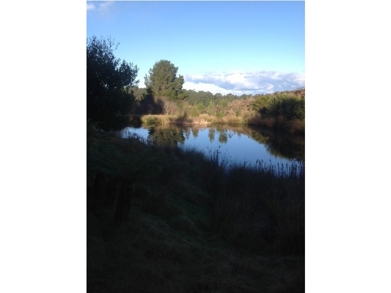 620 East Yolla Road, Yolla TAS 7325