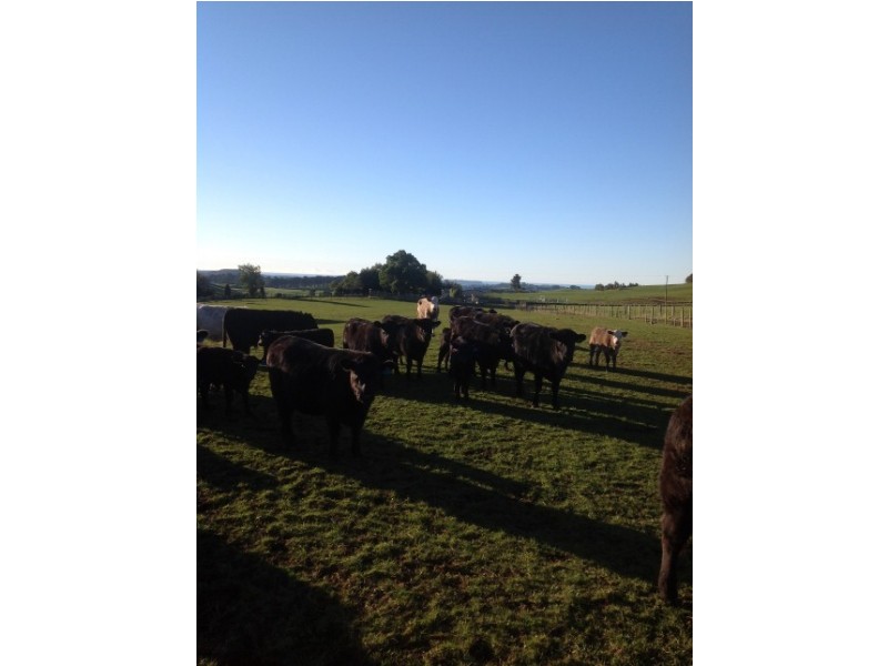 620 East Yolla Road, Yolla TAS 7325