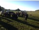 620 East Yolla Road, Yolla TAS 7325