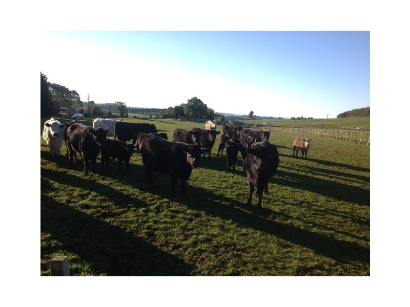 620 East Yolla Road, Yolla TAS 7325