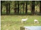 1999 Murchison Highway, Yolla TAS 7325