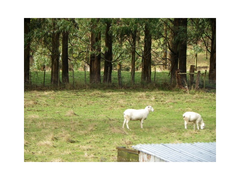 1999 Murchison Highway, Yolla TAS 7325
