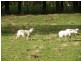 1999 Murchison Highway, Yolla TAS 7325