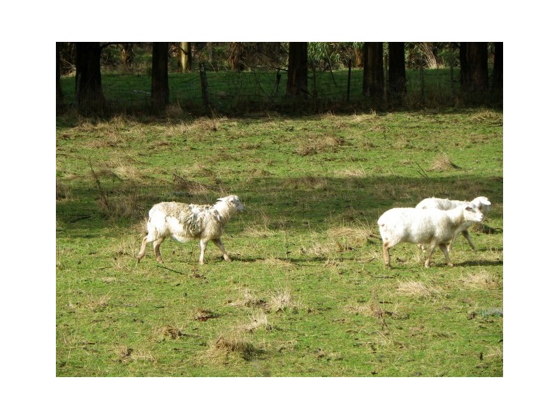 1999 Murchison Highway, Yolla TAS 7325