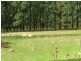 1999 Murchison Highway, Yolla TAS 7325