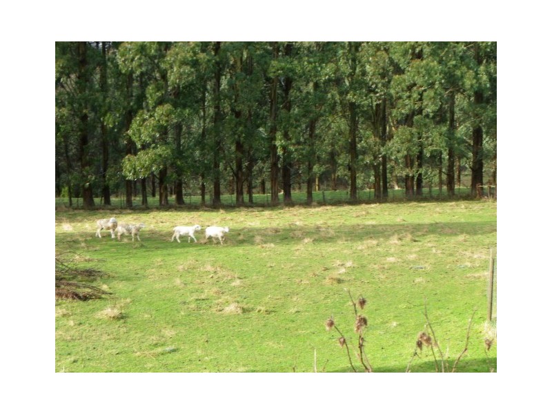 1999 Murchison Highway, Yolla TAS 7325