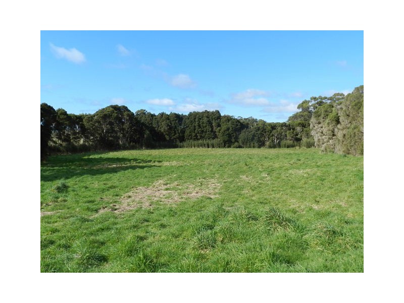 55 Coopers Lane, Wynyard TAS 7325
