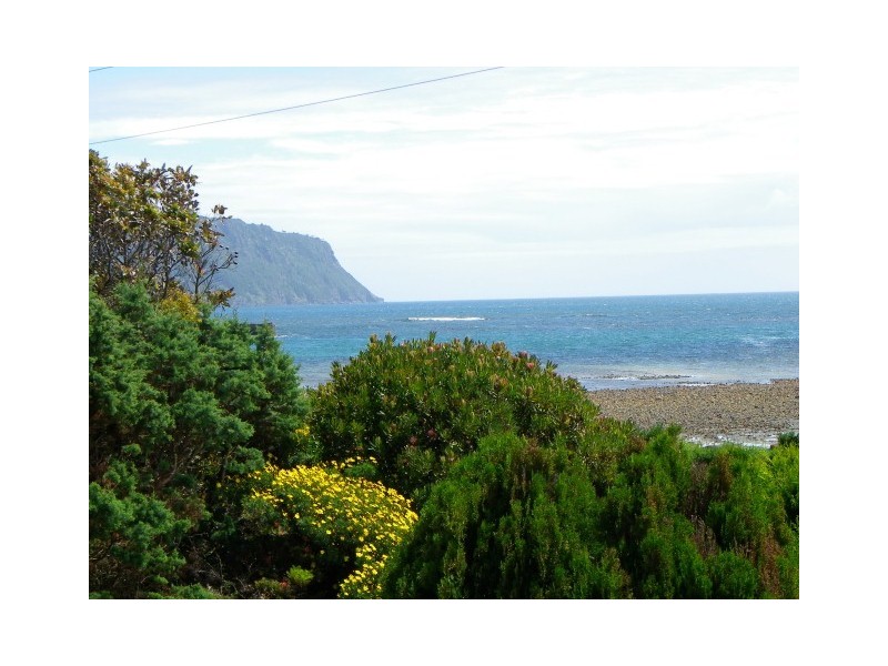 85 Old Bass Highway, Wynyard TAS 7325