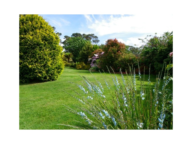 1A Golf Links Road, Wynyard TAS 7325