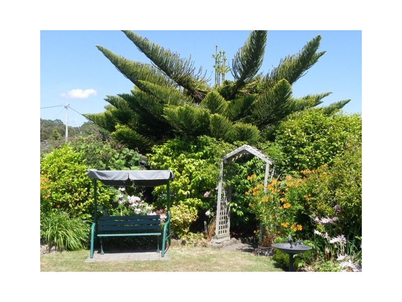 231 Old Bass Highway, Wynyard TAS 7325