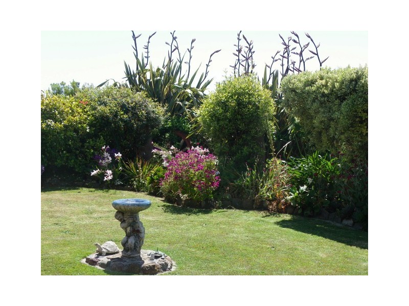 231 Old Bass Highway, Wynyard TAS 7325