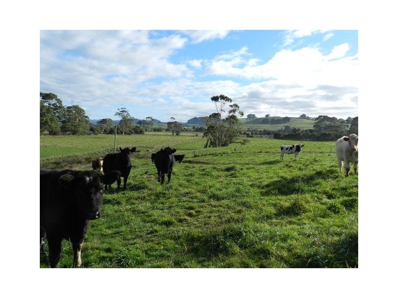124 Stennings Road, Wynyard TAS 7325