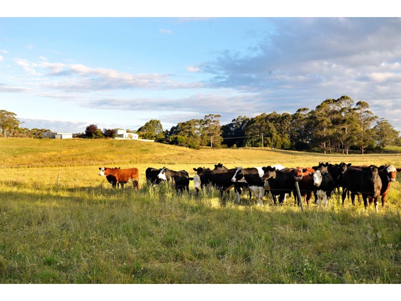 124 Stennings Road, Wynyard TAS 7325