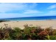 67 Irby Boulevard, Sisters Beach TAS 7321