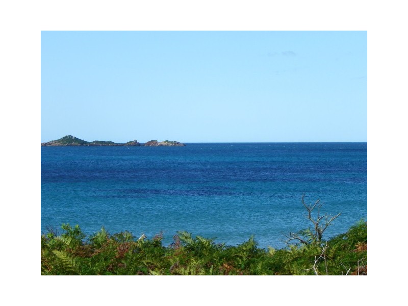 67 Irby Boulevard, Sisters Beach TAS 7321