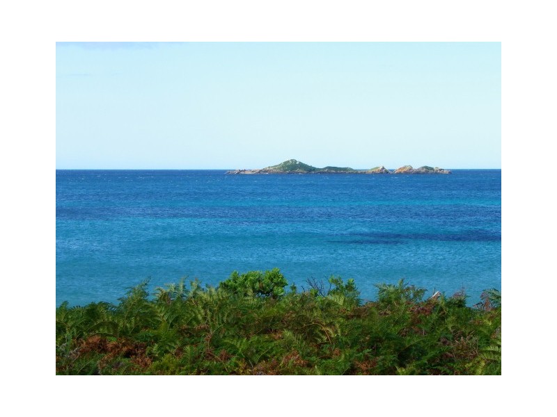 67 Irby Boulevard, Sisters Beach TAS 7321