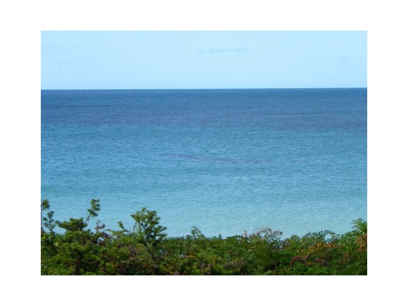67 Irby Boulevard, Sisters Beach TAS 7321