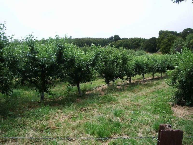 2360 Preolenna Road, Preolenna, Wynyard TAS 7325