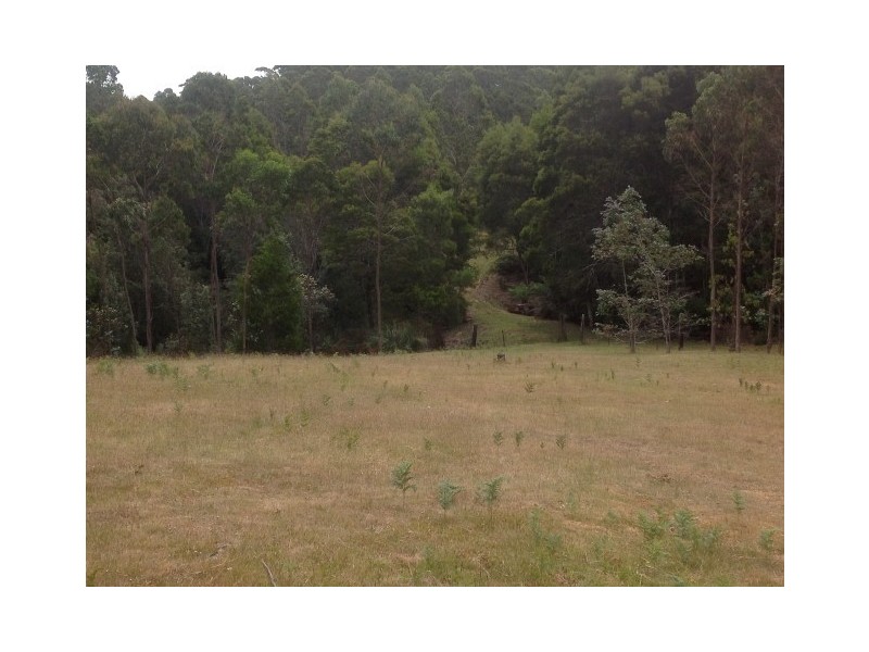 1316 Mawbanna Road, Mawbanna TAS 7321