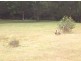 1316 Mawbanna Road, Mawbanna TAS 7321