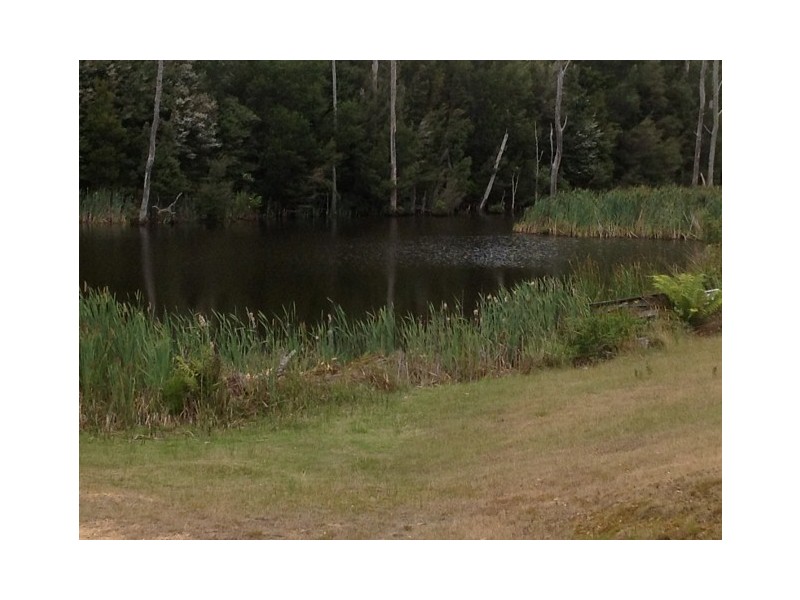 1316 Mawbanna Road, Mawbanna TAS 7321