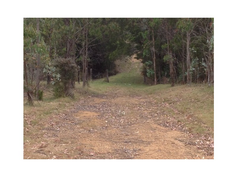 1316 Mawbanna Road, Mawbanna TAS 7321