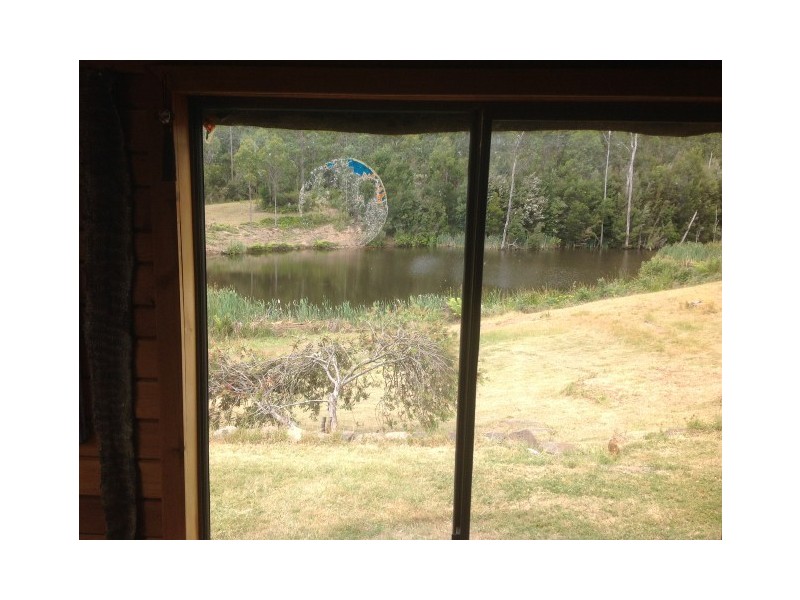 1316 Mawbanna Road, Mawbanna TAS 7321