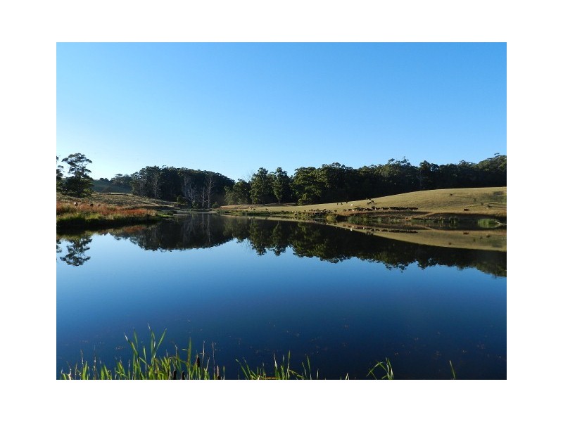 290 Mount Hicks Road, Wynyard TAS 7325