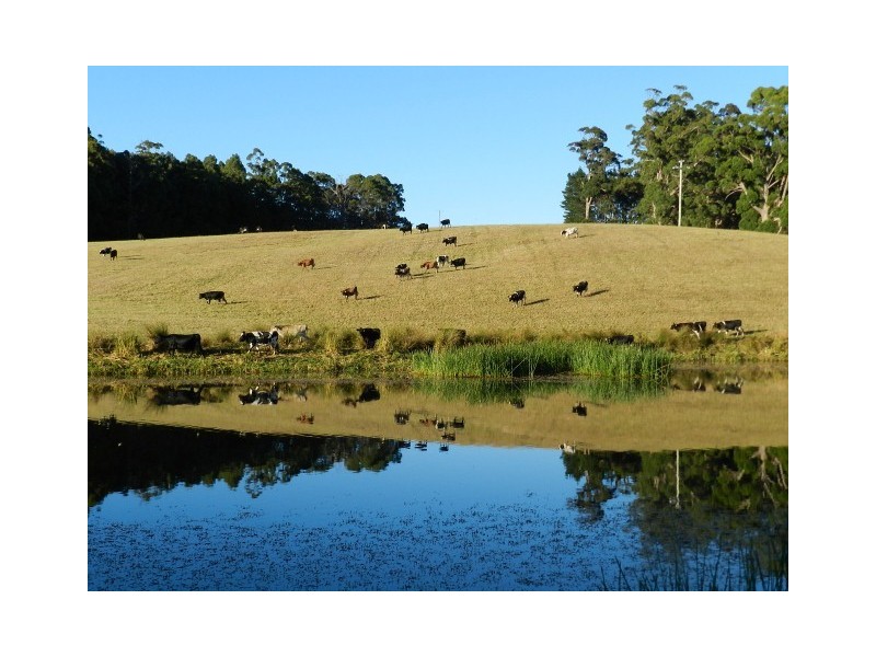 290 Mount Hicks Road, Wynyard TAS 7325