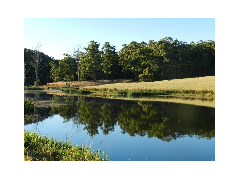 290 Mount Hicks Road, Wynyard TAS 7325