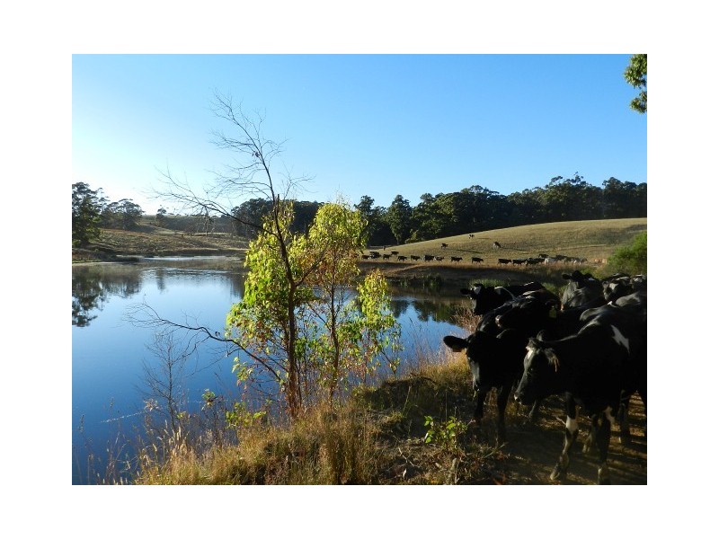 290 Mount Hicks Road, Wynyard TAS 7325