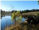 290 Mount Hicks Road, Wynyard TAS 7325