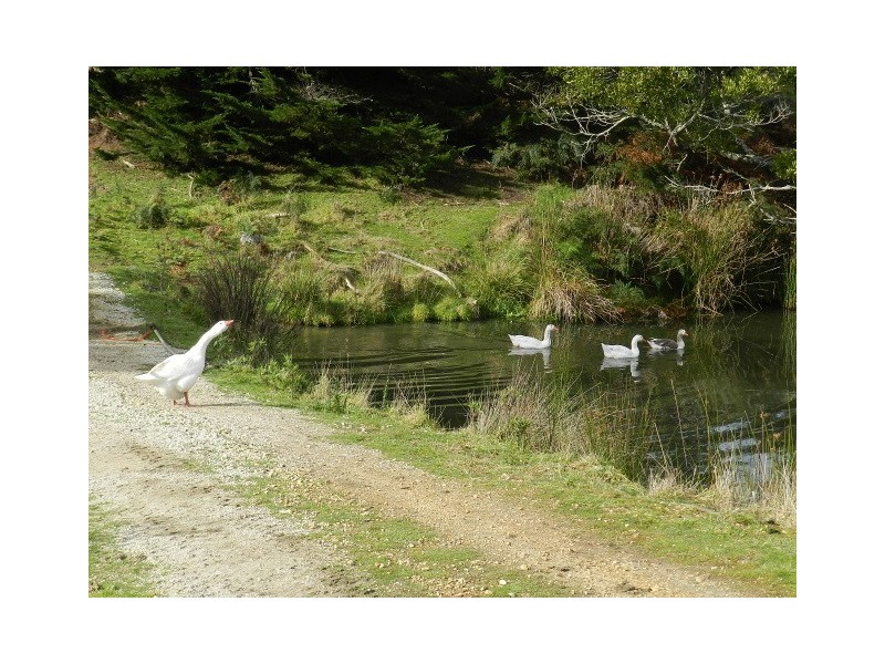 375 Deep Creek Road, Wynyard TAS 7325