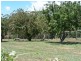 80 Reids Road, Somerset TAS 7322
