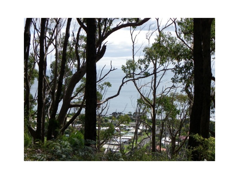 1 Zig Zag Road, Sulphur Creek TAS 7316